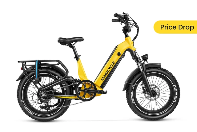 Magicycle 20